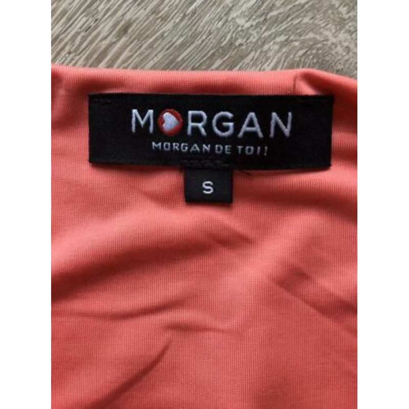 Top Morgan maat S koraal