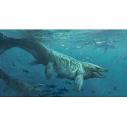 3X Mosasaurus tanden dinosaurus fossiel Jurassic World