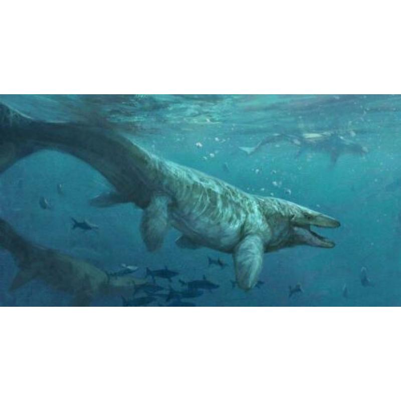 3X Mosasaurus tanden dinosaurus fossiel Jurassic World