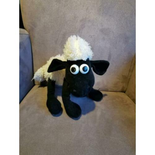 Shaun t schaap