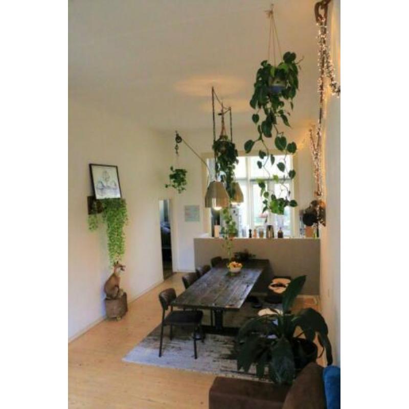 Appartement te huur. Gemeubileerd -TIJDELIJK-
