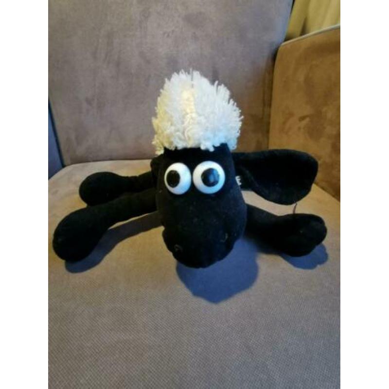 Shaun t schaap
