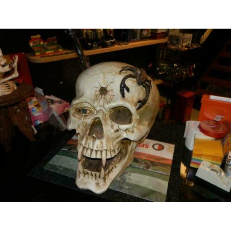 Polyester skelethoofd groot 50 cm