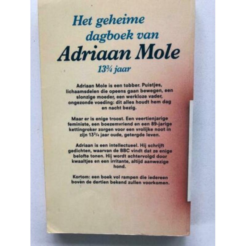 Het geheime dagboek van Adrian Mole