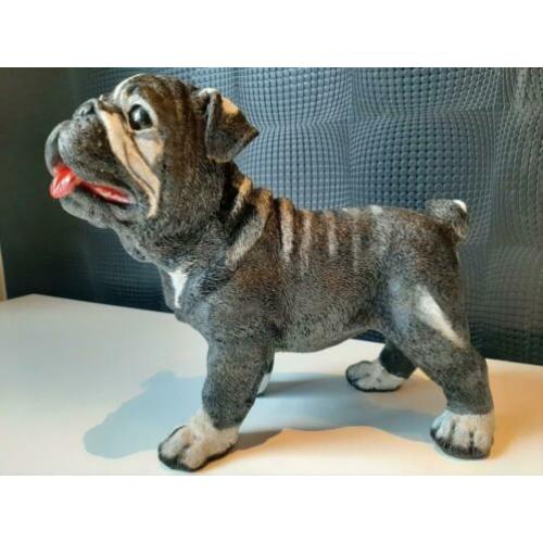 Handgeschilderd beeld kunst bulldog 33cm hoog !