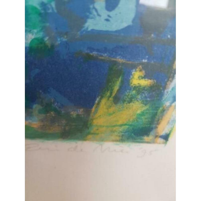 Eric de Nie, abstract