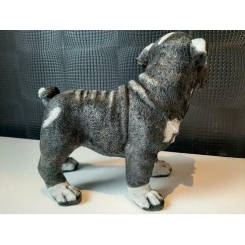 Handgeschilderd beeld kunst bulldog 33cm hoog !