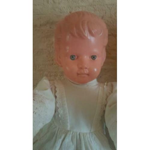 Wildebras pop 60 cm groot izgst