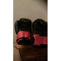 STB Fight Gear Kick box handschoenen .