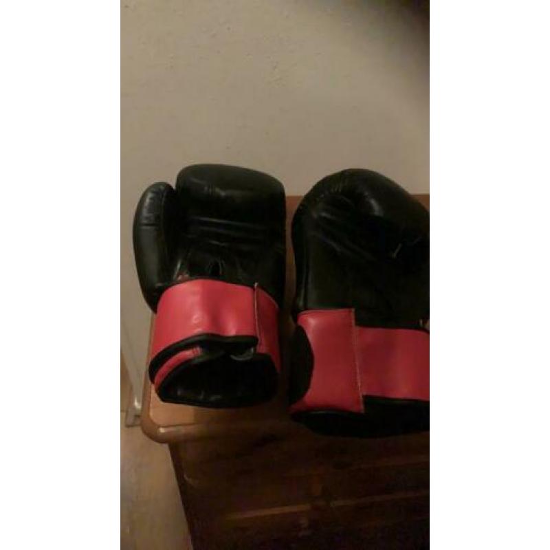 STB Fight Gear Kick box handschoenen .