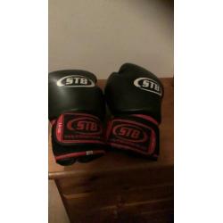 STB Fight Gear Kick box handschoenen .