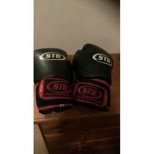 STB Fight Gear Kick box handschoenen .