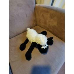 Shaun t schaap