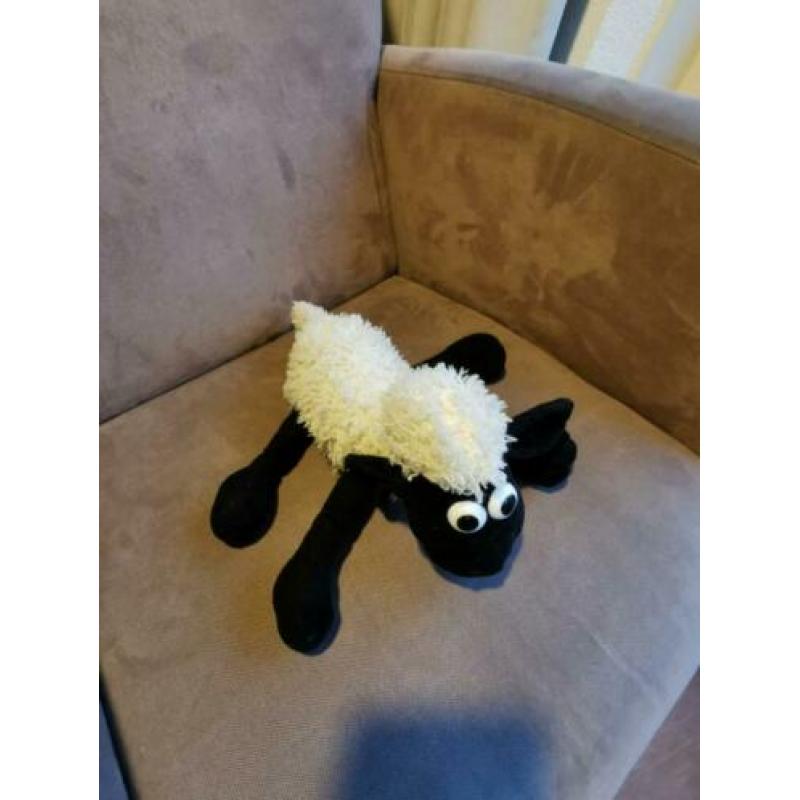Shaun t schaap