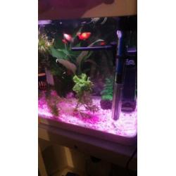 superfish aquarium
