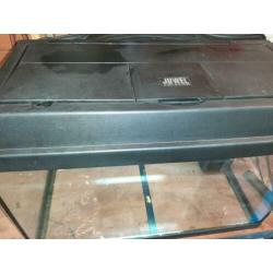 Juwel 60 cm aquarium met filter