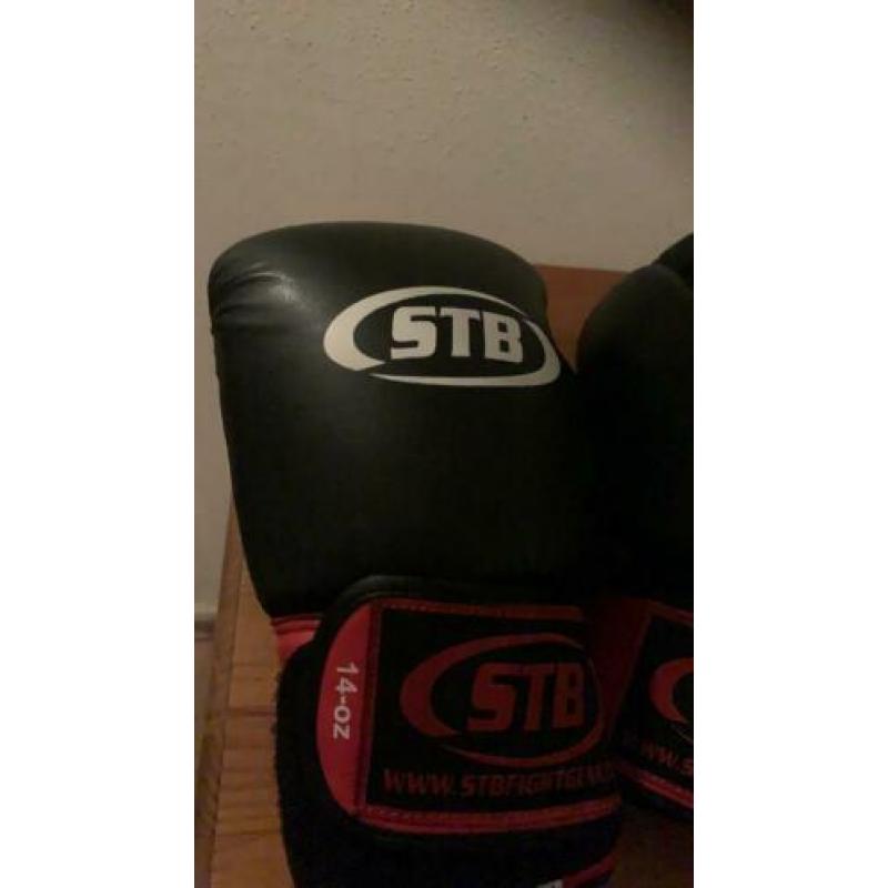 STB Fight Gear Kick box handschoenen .