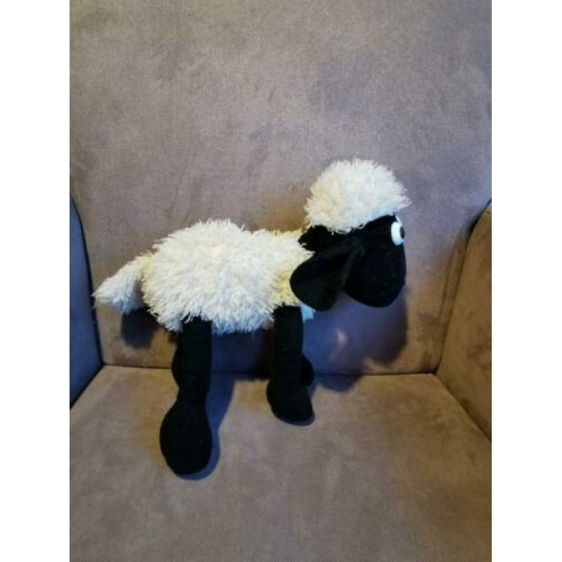 Shaun t schaap