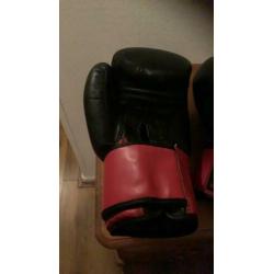 STB Fight Gear Kick box handschoenen .