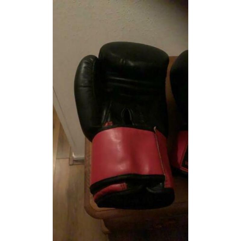STB Fight Gear Kick box handschoenen .