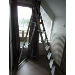 Nieuw ALTREX 7 treeds ladder