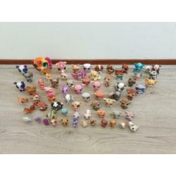 Little Pet Shop