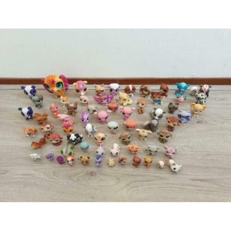 Little Pet Shop