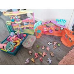 Little petshop