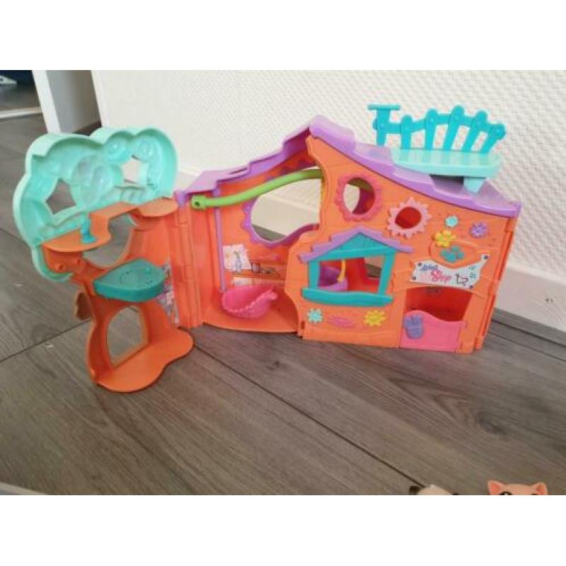 Little petshop