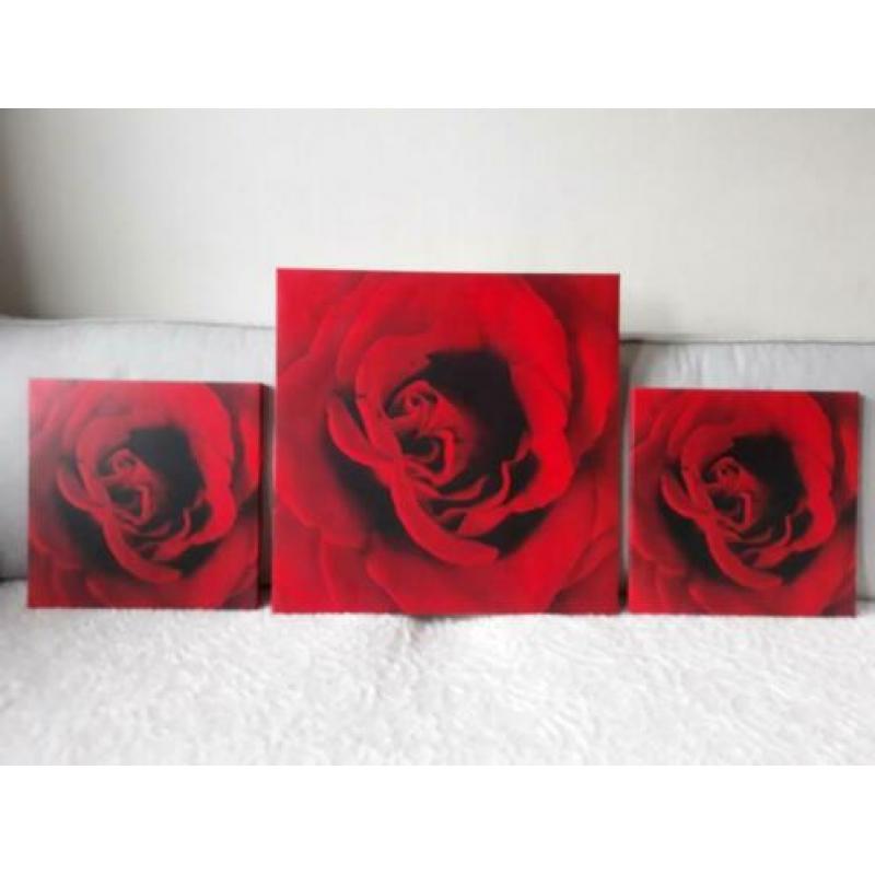 Set/3 canvas Roos