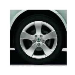 Winterbanden Skoda Octavia