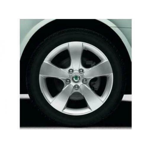 Winterbanden Skoda Octavia