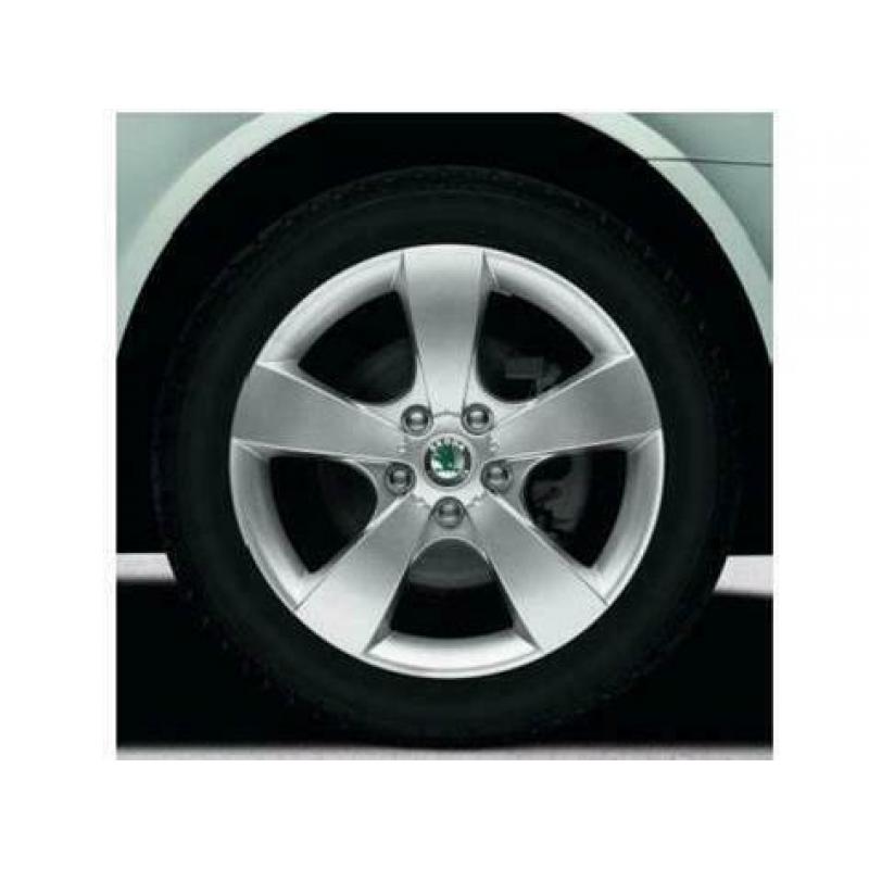Winterbanden Skoda Octavia