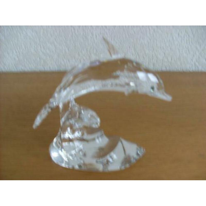 Swarovski dolfijn