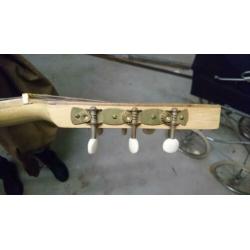 Audex gitaar