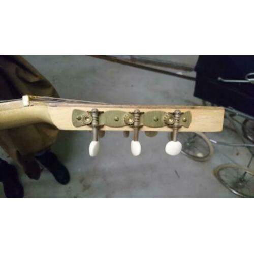 Audex gitaar