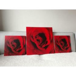 Set/3 canvas Roos