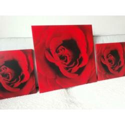 Set/3 canvas Roos