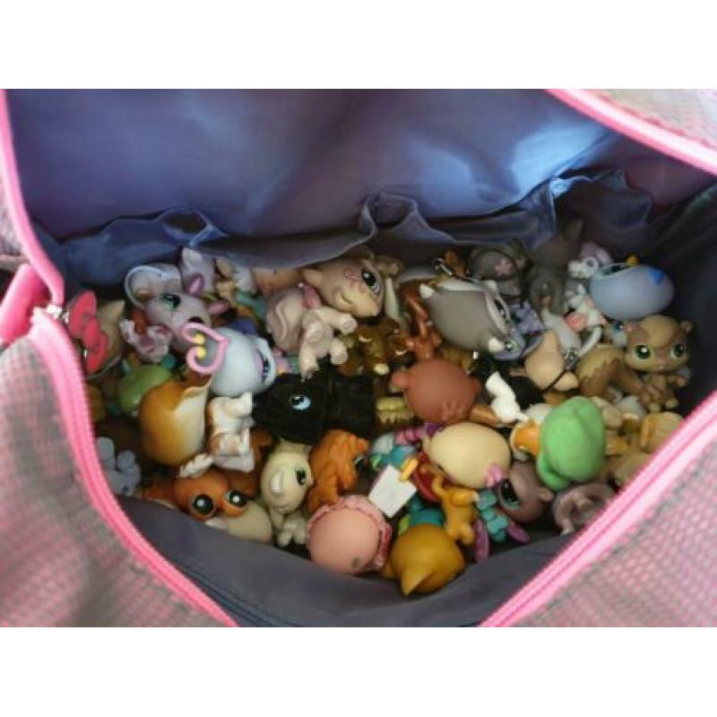 Little petshop