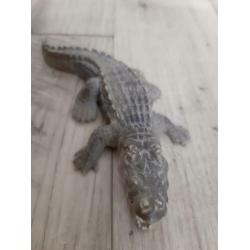 Schleich Krokodil