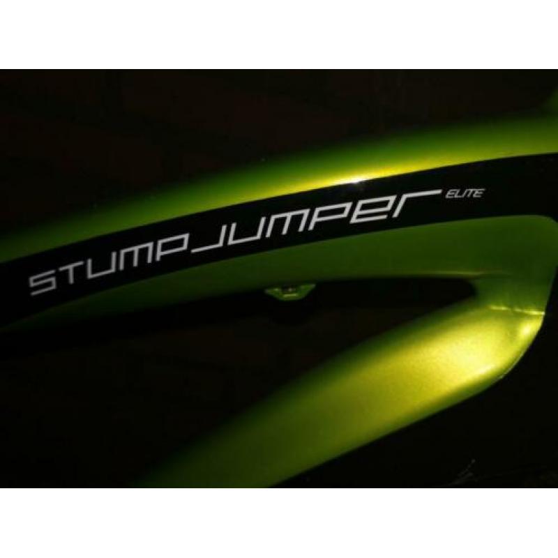 Specialized stumpjumper elite carbon.