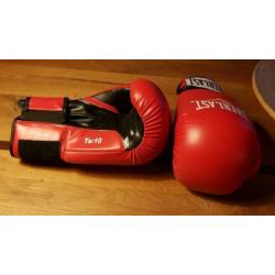 Everlast bokshandschoenen. Maat 10 ounce. Zo goed als nieuw.