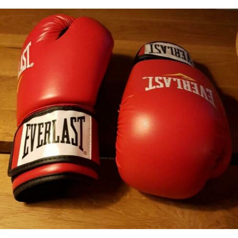 Everlast bokshandschoenen. Maat 10 ounce. Zo goed als nieuw.