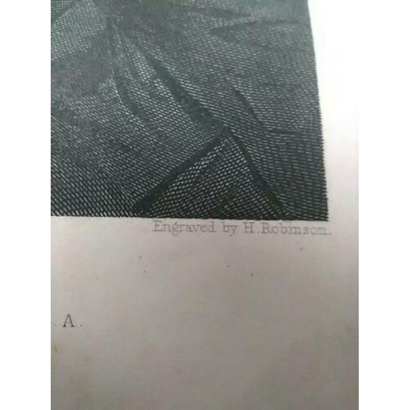Kopergravure h. Robinson