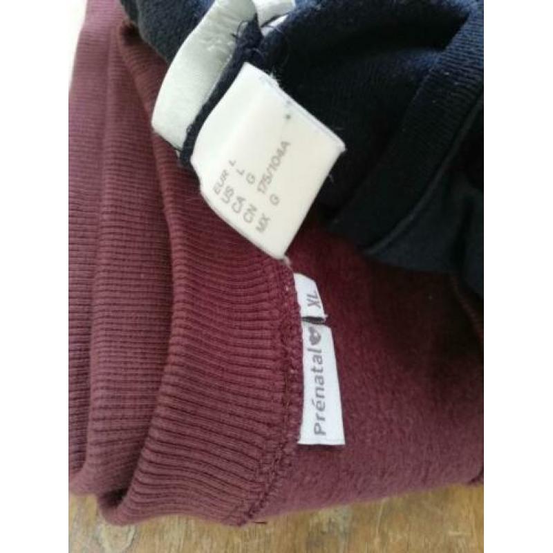 Pakket zwangerschapskleding prenatal supermom hm ed L / XL