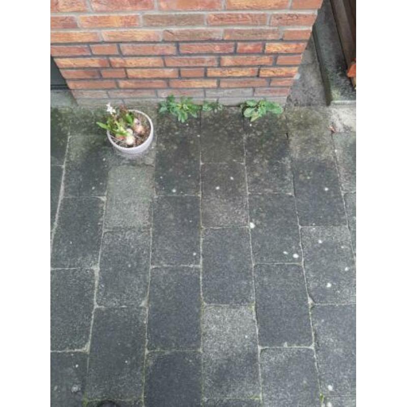 terras stenen 20 x 30 cm.