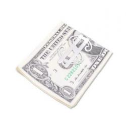 Prachtige design geldclip met $ / dollar design