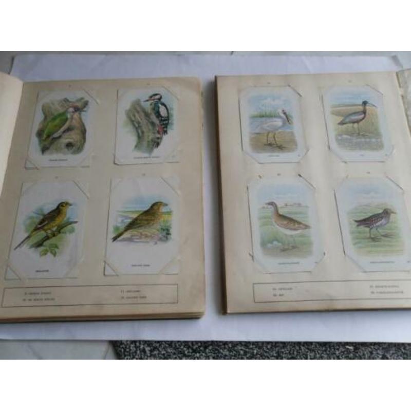 Plaatjesalbum VOGELALBUM deel 1 en 2 van Tiktak Compleet
