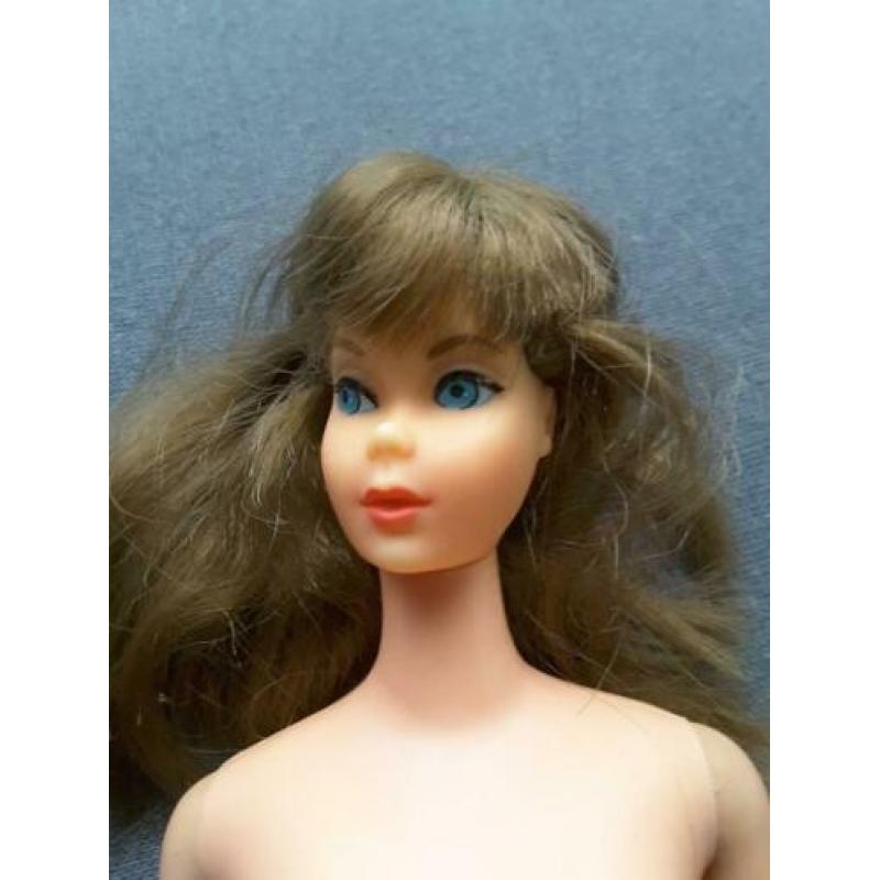 Vintage Barbie pop