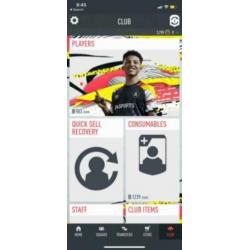 Fifa 20 team